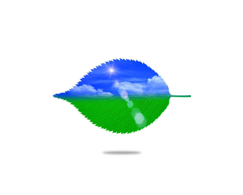 无人,横图,室内,白天,白色背景,正面,数码,科技,草地,草坪,植物,叶子,阴影,反射,网络,影子,云,云朵,绿叶,高光,几何,计算机图形,合成,云彩,蓝色,绿色,白云,蓝天,天空,天,嫩叶,晴朗,电脑合成图,数码合成图,合成图,写实,具体,具象,叶,叶片,晴空,彩图,镜头光晕,透镜闪耀,眩光,太阳草