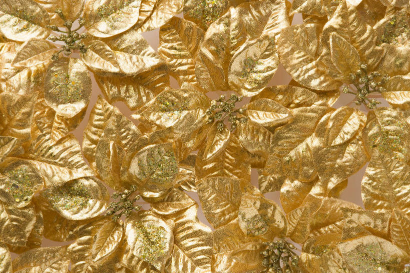 无人,横图,室内,特写,白天,正面,静物,阴影,装饰,反射,影子,圣诞红,一品红,金色背景,装饰品,装饰物,圣诞花,金色,摄影,猩猩木,影棚,绿洲,华丽,修饰,点缀,富贵,饰物,忠诚,衬托,美观,雅致,雅观,富丽,名誉,荣华,彩图,影棚拍摄,拍摄