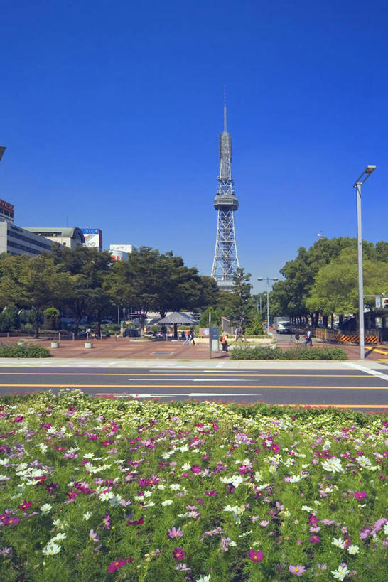 无人,竖图,室外,白天,正面,旅游,度假,草地,草坪,植物,标志建筑,地标,建筑,爱知县,名古屋,日本,亚洲,阴影,光线,影子,塔,娱乐,建设,草,树,树木,蓝色,绿色,蓝天,天空,阳光,自然,天,享受,休闲,旅游胜地,放松,生长,晴朗,成长,东亚,本州,万里无云,本州岛,日本国,中部地方,爱知,县厅,久屋大通公园,名古屋市,名古屋电视塔,晴空,晴空万里,彩图