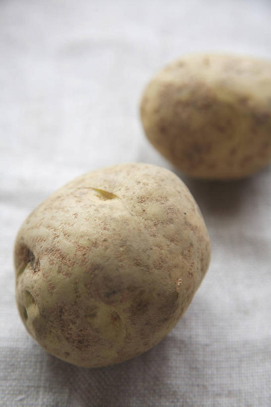 无人,竖图,俯视,室内,特写,白天,蔬菜,土豆,阴影,灰色背景,新鲜,反射,影子,食品,食物,两个,摄影,有机食品,绿色食品,影棚,芋艿,洋芋,山药蛋,马铃薯,彩图,高角度拍摄,影棚拍摄,拍摄