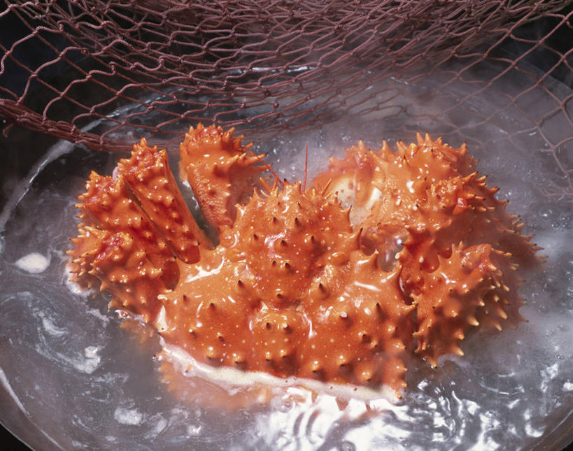 海鲜,蟹,无人,横图,俯视,室内,特写,白天,烹饪,水,雾,厨具,金属制品,阴影,波纹,沸腾,朦胧,模糊,透明,反射,金属,蒸汽,螃蟹,锅子,网,液体,影子,气泡,水滴,帝王蟹,涟漪,水蒸气,雾气,漩涡,水泡,锅,水产,海洋生物,水珠,一个,红色,水纹,泡泡,单个,锅具,气体,圆弧,水生动物,海产品,水生物,海底动物,烹饪用具,蒸发,皇帝蟹,甲壳动物,石蟹,烹调用具,烹调,彩图,高角度拍摄,白石蟹,岩蟹