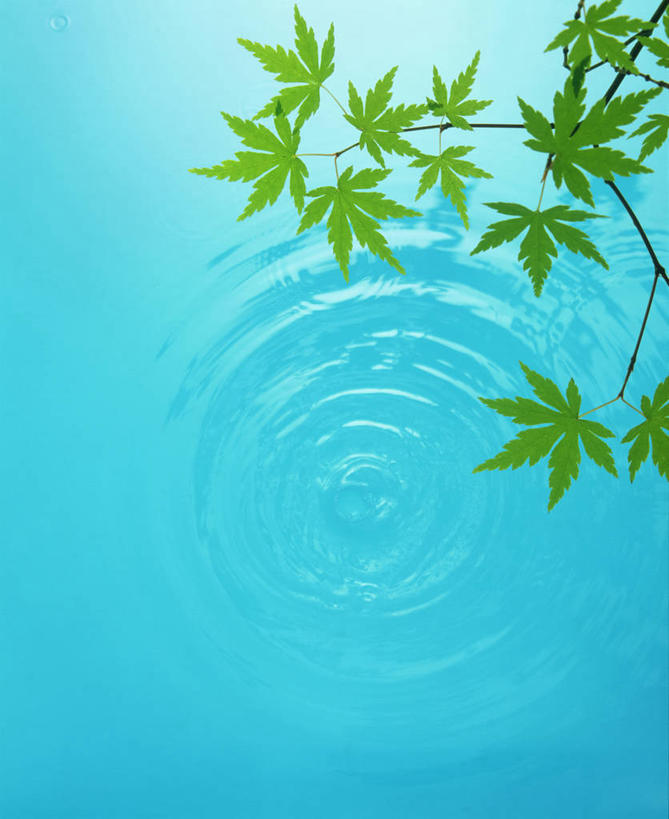 无人,竖图,俯视,室外,特写,白天,美景,水,叶子,波纹,透明,液体,景观,气泡,水滴,枫叶,绿叶,涟漪,漩涡,水泡,水珠,蓝色,绿色,水纹,自然,泡泡,嫩叶,景色,枫树叶,圆弧,自然风光,叶,叶片,彩图,高角度拍摄