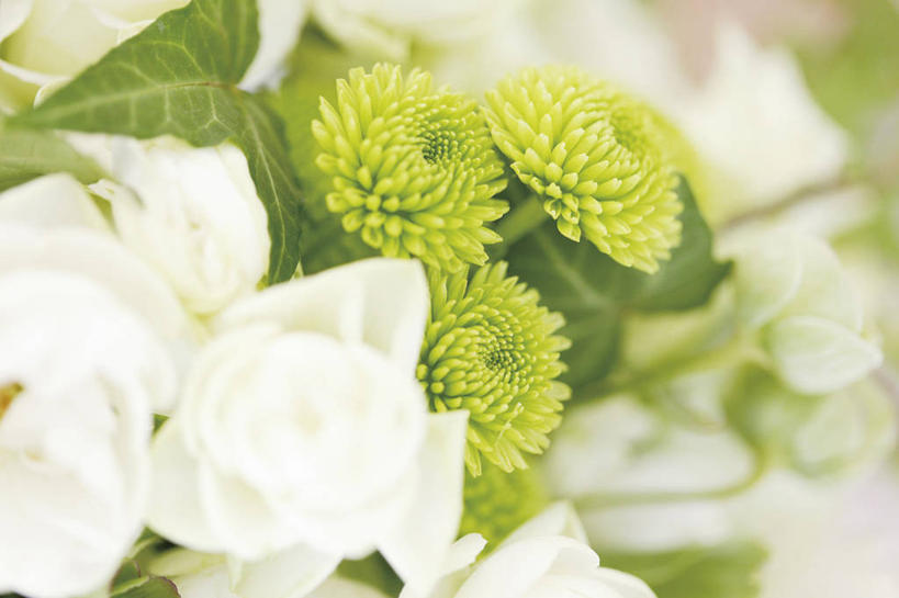 无人,横图,室内,特写,白天,正面,婚礼,快乐,绿色背景,阴影,朦胧,模糊,庆祝,盛开,反射,捧花,手捧花,影子,结婚,花蕾,花,花瓣,花朵,鲜花,绿色,白色,花束,花苞,花蕊,一束,喜庆,摄影,影棚,纪念,婚礼捧花,彩图,影棚拍摄,高兴,拍摄