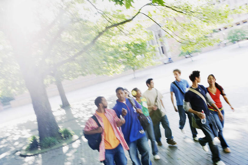 伙伴,朋友,学生,走,笑,微笑,横图,俯视,室外,白天,友谊,植物,欧洲,黑人,欧洲人,亚洲,阴影,服装,朦胧,模糊,包,书包,影子,绿树,树荫,许多人,注视,休闲装,树,树木,树叶,树枝,衣服,阳光,观察,看,一群人,放学,聊天,下课,休闲,同学,休闲服,服饰,观看,单肩包,察看,校友,关注,同窗,学友,友情,男人,男性,年轻男性,年轻女性,女人,女性,白种人,亚洲人,散步,半身,彩图,高角度拍摄,双肩包