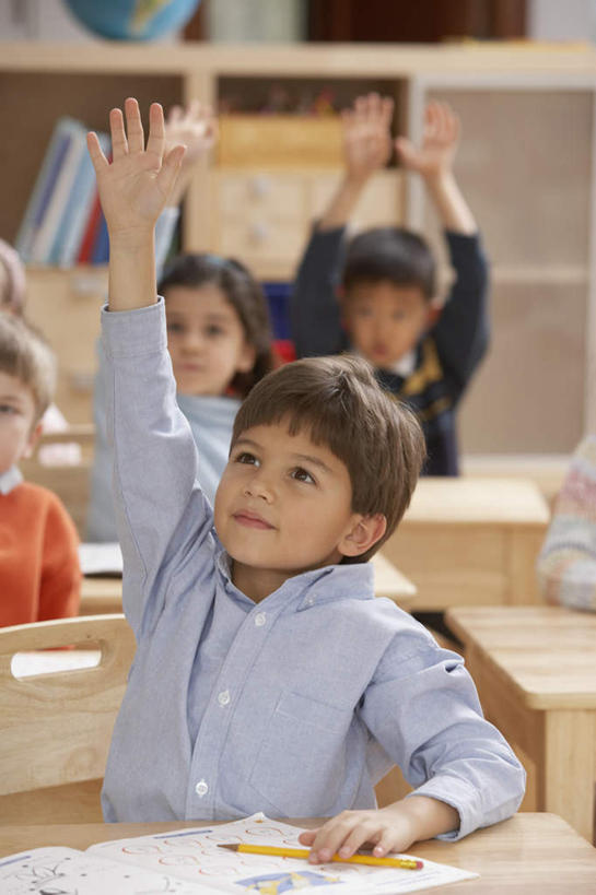 儿童,伙伴,朋友,坐,举,竖图,室内,白天,侧面,友谊,纯洁,柜子,书架,欧洲,欧洲人,学习,服装,朦胧,模糊,木质,许多人,注视,休闲装,小孩,衣服,课桌,观察,看,托,一群人,上课,休闲,教室,同学,休闲服,可爱,童年,童趣,服饰,课本,观看,察看,校友,关注,童真,烂漫,无邪,回答,同窗,学友,天真,友情,男孩,男人,男性,女孩,女人,女性,白种人,举起,举手,举着,向上举,向上伸,向上托,坐着,半身,彩图,男生,女生