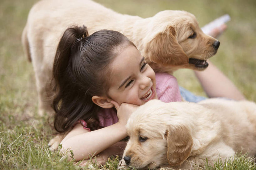 儿童,一个人,抱,笑,微笑,露齿笑,横图,室外,白天,正面,纯洁,草地,草坪,植物,宠物,狗,欧洲,欧洲人,仅一个女性,仅一个人,服装,朦胧,模糊,拉布拉多,注视,休闲装,拉布拉多猎犬,草,小孩,衣服,动物,观察,看,趴着,仅一个小孩,两只,休闲,休闲服,可爱,童年,童趣,服饰,观看,绿草,察看,关注,拉布拉多犬,童真,烂漫,无邪,忠诚,天真,女孩,女人,女性,白种人,孩子,犬,搂抱,趴,半身,彩图,女生