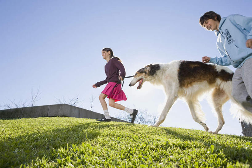 西方人,两个人,家庭,夫妻,跑,笑,微笑,横图,室外,白天,仰视,爱情,草地,草坪,植物,宠物,狗,欧洲,欧洲人,牵,阴影,服装,光线,影子,浪漫,注视,休闲装,草,一只,衣服,蓝色,绿色,蓝天,天空,阳光,动物,天,观察,看,休闲,温暖,温馨,一家人,休闲服,恩爱,可爱,恋人,服饰,牧羊犬,晴朗,观看,牵着,和睦,察看,关注,喜乐蒂牧羊犬,忠诚,喜乐蒂,喜乐蒂犬,万里无云,设得兰群岛牧羊犬,谢德兰牧羊犬,男人,男性,年轻女性,女人,女性,中年男性,白种人,年轻人,夫妇,情侣,晴空,晴空万里,犬,跑步,半身,彩图,低角度拍摄,伴侣,融洽