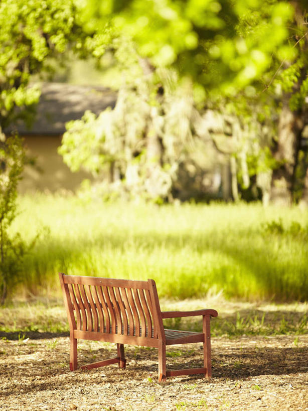 蝶泳,无人,室外,白天,正面,植物,椅子,美国,阴影,环保,朦胧,模糊,光线,影子,木椅,防护,树,树木,绿色,阳光,自然,生长,成长,北美,北美洲,美好,美妙,加利福尼亚,美洲,间隔,加州,加利福尼亚州,金州,黄金州,北亚美利加洲,亚美利加洲,美观,雅观,绿篱,生篱,树篱,植篱,旧金山湾,彩图,纳帕县,卡利斯托加