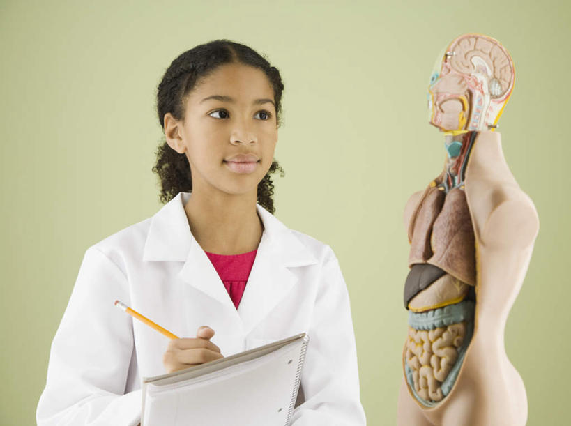 西方人,儿童,内脏,动脉,静脉,一个人,站,笑,微笑,横图,室内,白天,正面,纯洁,静物,欧洲,欧洲人,仅一个女性,仅一个人,握,绿色背景,服装,医学,笔,办公用品,拿,拿着,注视,文具,小孩,衣服,白色,模型,铅笔,学习用品,观察,看,站着,仅一个小孩,可爱,童年,童趣,握着,人体,摄影,服饰,影棚,观看,文具用品,察看,生物学,人体器官,书写,衣着,器官,白大褂,穿着,关注,记录板,童真,烂漫,无邪,记事板,实验服,生理学,衣饰,天真,女孩,女人,女性,白种人,孩子,站立,半身,彩图,影棚拍摄,拍摄,实验衣,女生