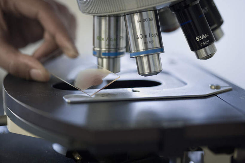 西方人,手,一个人,横图,俯视,室内,特写,白天,仪器,欧洲,欧洲人,仅一个男性,仅一个人,仅一个中年男性,握,检查,朦胧,模糊,反射,分析,科学,显微镜,拿,拿着,观察,手部,清晰,探索,握着,放大,观看,单手,仔细,透镜,凸透镜,聚焦,关注,载玻片,光学,清楚,玻片,盖玻片,男人,男性,中年男性,白种人,半身,彩图,高角度拍摄