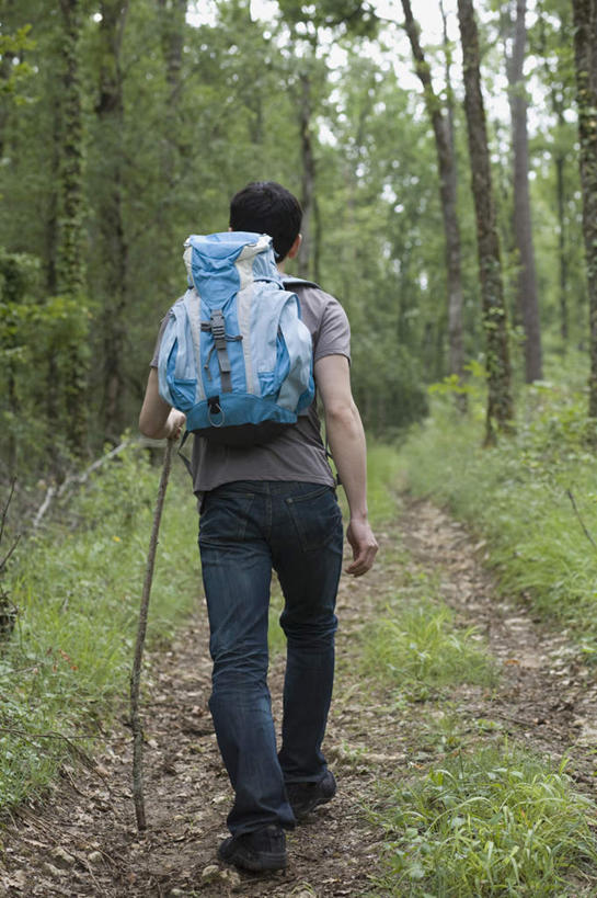 东方人,一个人,走,竖图,室外,白天,草地,草坪,树林,植物,亚洲,仅一个男性,仅一个人,仅一个中年男性,握,服装,包,工具,器材,拿,旅行包,拿着,休闲装,黄种人,草,树,树木,背面,衣服,绿色,自然,背包,休闲,休闲服,器械,握着,服饰,生长,成长,拐杖,登山杖,辅助设备,旅游包,登山棍,男人,男性,中年男性,亚洲人,步行,登山,爬山,散步,走路,彩图,全身,双肩包