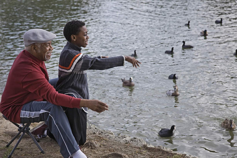 西方人,儿童,老年人,两个人,家庭,祖父,坐,跪,投,横图,俯视,室外,白天,纯洁,鸟,帽子,椅子,欧洲,非洲,黑人,欧洲人,波纹,服装,鸟类,鸭,池塘,水池,涟漪,注视,休闲装,运动帽,家禽,小孩,衣服,倒影,水纹,动物,波浪,观察,看,休闲,温暖,温馨,一家人,休闲服,鸭舌帽,可爱,童年,童趣,服饰,牲畜,爷爷,观看,祖孙,和睦,察看,倒映,关注,童真,烂漫,无邪,外公,外祖父,外孙,水晕,外孙子,反照,天真,老年男性,男孩,男人,男性,非洲人,孩子,孙子,跪着,抛,扔,撒,掷,坐着,半身,彩图,高角度拍摄,融洽,男生