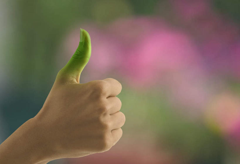 手,一个人,横图,室内,特写,白天,正面,智慧,亚洲,仅一个年轻女性,仅一个女性,仅一个人,突出,朦胧,模糊,称赞,表扬,手势,手部,竖,翘,单手,高,夸奖,优秀,好,妙,顺利,出色,超群,杰出,卓越,奇妙,聪明,年轻女性,女人,女性,亚洲人,印度人,大拇指,半身,彩图