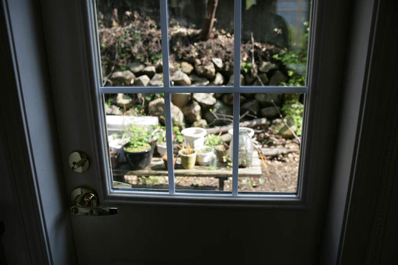 无人,横图,俯视,室内,白天,石头,植物,窗户,门,桌面,桌子,花盆,木制,盆栽,石子,陶瓷,盆景,陶瓷制品,玻璃窗,绿色,自然,把手,门把手,木制品,容器,门框,生长,成长,储藏,门把,储存,石块,岩石,拉手,彩图,高角度拍摄,贮存