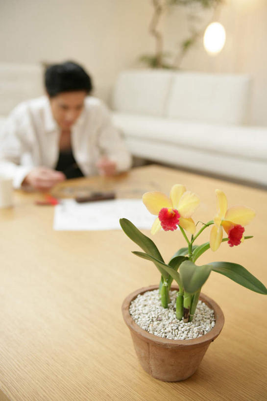 东方人,一个人,工程师,建筑工人,建筑师,客厅,坐,竖图,室内,白天,正面,植物,靠垫,沙发,桌子,水仙花,杯子,照明,亚洲,仅一个男性,仅一个人,连接,握,阴影,组合,服装,朦胧,模糊,弯曲,盛开,光线,木制,工具,盆栽,钳子,图纸,影子,陶瓷,墙,灯光,靠枕,盆景,设计图,陶瓷制品,拿,花蕾,茶几,拿着,注视,休闲装,黄种人,加工,墙壁,墙面,灯,花,花瓣,花朵,鲜花,仅一个年轻男性,衣服,黄色,红色,绿色,自然,马克杯,模型,木制品,水杯,灯具,垫子,落地灯,枕头,花苞,花蕊,观察,看,休闲,休闲服,握着,服饰,生长,成长,观看,老虎钳,链接,照亮,固定,五金,察看,起居室,紧固,照明设备,关注,拼接,剪断,拼凑,工程图,草图,蓝图,布艺沙发,扭转,金盏银台,玉玲珑,女史花,雅蒜,天蒜,拼合,凑集,聚合,撮合,链结,牢固,夹持,客堂,黄水仙,凌波仙子,水仙,天葱,洋水仙,男人,男性,年轻男性,亚洲人,设计,技师,建筑工,建筑设计师,坐着,半身,彩图