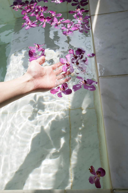 东方人,手,一个人,捧,竖图,俯视,室内,特写,白天,幸福,纯洁,水,卫生间,浴室,蝴蝶兰,亚洲,仅一个年轻女性,仅一个女性,仅一个人,阴影,盛开,反射,液体,影子,水滴,美丽,花蕾,黄种人,花,花瓣,花朵,鲜花,紫色,浴缸,花苞,花蕊,手部,单手,卫浴设备,初恋,蝶兰,兰中皇后,水管装置,年轻女性,女人,女性,亚洲人,淋浴房,端,端着,捧着,手捧,半身,彩图,高角度拍摄,冲凉房,沐浴间,沐浴室