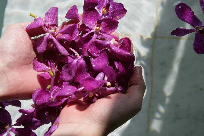 东方人,手,一个人,捧,横图,俯视,室内,特写,白天,幸福,纯洁,水,卫生间,浴室,蝴蝶兰,亚洲,双手,仅一个年轻女性,仅一个女性,仅一个人,一堆,阴影,堆叠,堆积,盛开,反射,液体,影子,水滴,美丽,花蕾,黄种人,花,花瓣,花朵,鲜花,紫色,浴缸,花苞,花蕊,手部,堆,卫浴设备,初恋,蝶兰,兰中皇后,水管装置,年轻女性,女人,女性,亚洲人,淋浴房,端,端着,捧着,手捧,半身,彩图,高角度拍摄,冲凉房,沐浴间,沐浴室