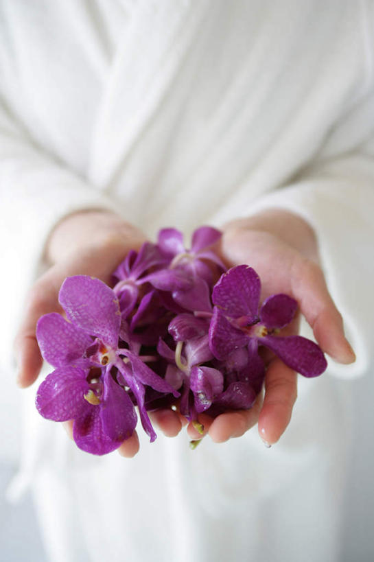 东方人,手,一个人,站,捧,竖图,俯视,室内,特写,白天,浴袍,幸福,纯洁,蝴蝶兰,亚洲,双手,仅一个年轻女性,仅一个女性,仅一个人,一堆,堆叠,堆积,服装,盛开,美丽,花蕾,黄种人,花,花瓣,花朵,鲜花,衣服,紫色,白色,花苞,花蕊,站着,手部,服饰,堆,衣着,穿着,初恋,蝶兰,兰中皇后,衣饰,年轻女性,女人,女性,亚洲人,端,端着,捧着,手捧,站立,半身,彩图,高角度拍摄,汤帷子,浴衣