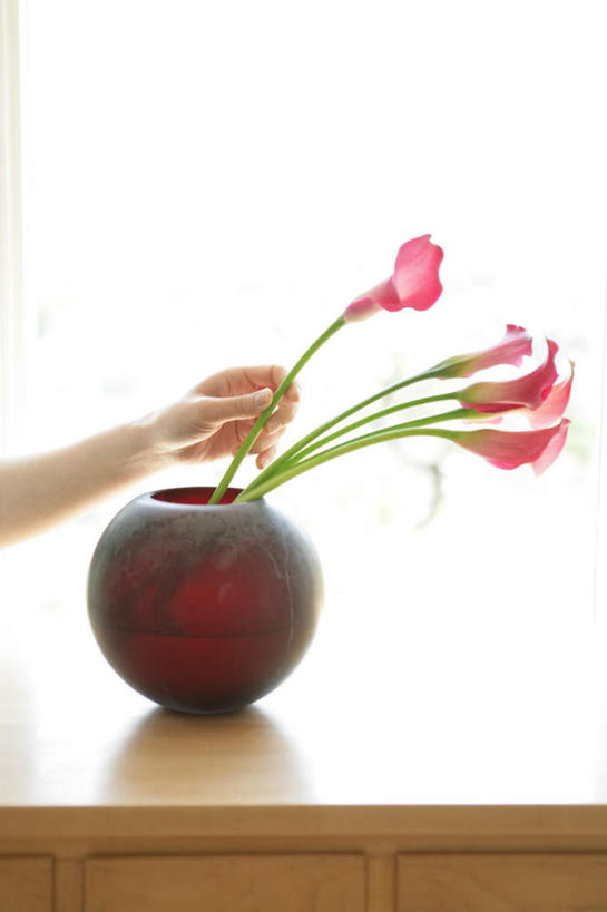 东方人,手,一个人,竖图,室内,特写,白天,侧面,纯洁,智慧,窗户,马蹄莲,花瓶,亚洲,仅一个年轻女性,仅一个女性,仅一个人,握,阴影,艺术,盛开,反射,影子,陶瓷,陶瓷制品,拿,花蕾,拿着,黄种人,文化,玻璃窗,花,花瓣,花朵,鲜花,虔诚,红色,插花,瓶子,花苞,花蕊,手部,握着,希望,优雅,单手,插花艺术,创造,高贵,创作,想象,纯净,马蹄兰,博爱,永恒,尊贵,高洁,慈菇花,圣洁,水芋,水芋马,年轻女性,女人,女性,亚洲人,半身,彩图