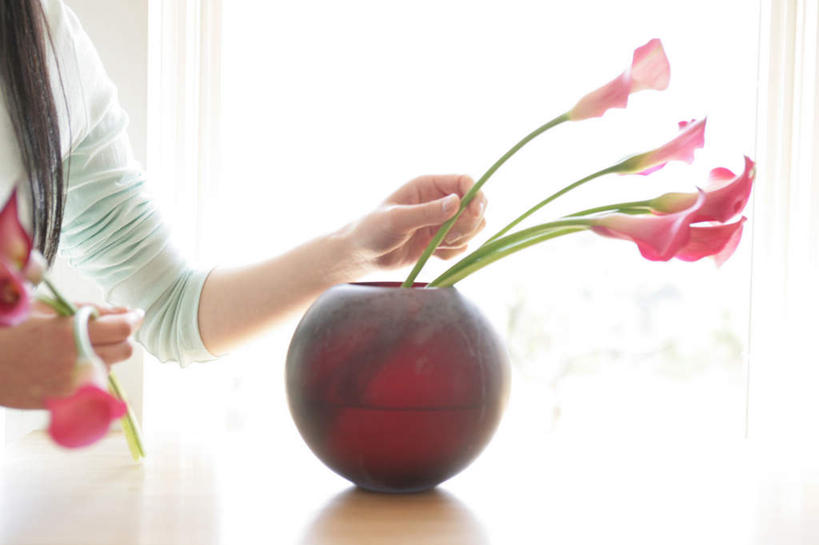 东方人,手,一个人,站,横图,室内,白天,侧面,纯洁,智慧,窗户,马蹄莲,花瓶,亚洲,双手,仅一个年轻女性,仅一个女性,仅一个人,握,阴影,服装,艺术,盛开,反射,影子,陶瓷,陶瓷制品,拿,花蕾,拿着,黄种人,文化,玻璃窗,花,花瓣,花朵,鲜花,虔诚,衣服,红色,插花,瓶子,花苞,花蕊,站着,手部,握着,服饰,希望,优雅,插花艺术,创造,衣着,穿着,高贵,创作,想象,纯净,马蹄兰,博爱,永恒,尊贵,高洁,慈菇花,衣饰,圣洁,水芋,水芋马,年轻女性,女人,女性,亚洲人,站立,半身,彩图