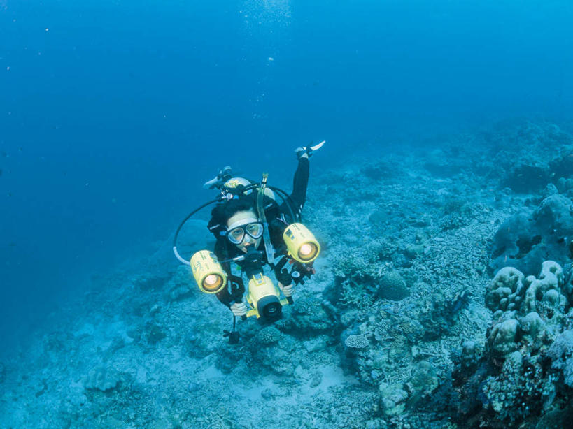 游泳,东方人,一个人,横图,室外,白天,正面,锻炼,运动,海底,水下,海浪,海洋,礁石,石头,相机,亚洲,仅一个年轻女性,仅一个女性,仅一个人,潜水员,握,潜水镜,石子,泳镜,浪花,水底,拿,拿着,注视,黄种人,拍照,海水,数码相机,观察,看,蛙鞋,氧气罩,单反,握着,海底世界,潜水,摄影,观看,单反相机,脚蹼,呼吸管,察看,关注,潜水装备,海景,面镜,浮潜,潜水运动,水中呼吸器,体育,年轻女性,女人,女性,亚洲人,照相机,大海,风浪,海,海床,海水的波动,礁,近岸浪,石块,岩石,涌浪,半身,彩图,健身,照相