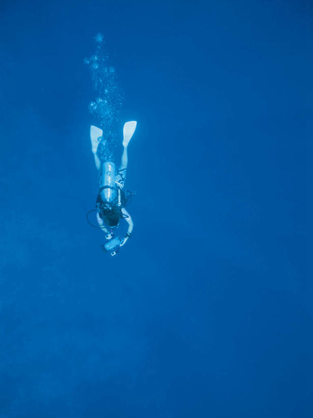 游泳,东方人,一个人,竖图,室外,白天,锻炼,运动,海底,水下,海浪,海洋,亚洲,仅一个年轻女性,仅一个女性,仅一个人,潜水员,潜水镜,泳镜,浪花,水底,注视,黄种人,背面,海水,观察,看,蛙鞋,氧气罩,海底世界,潜水,观看,脚蹼,呼吸管,察看,关注,潜水装备,海景,面镜,浮潜,潜水运动,水中呼吸器,体育,年轻女性,女人,女性,亚洲人,大海,风浪,海,海床,海水的波动,近岸浪,涌浪,彩图,全身,健身