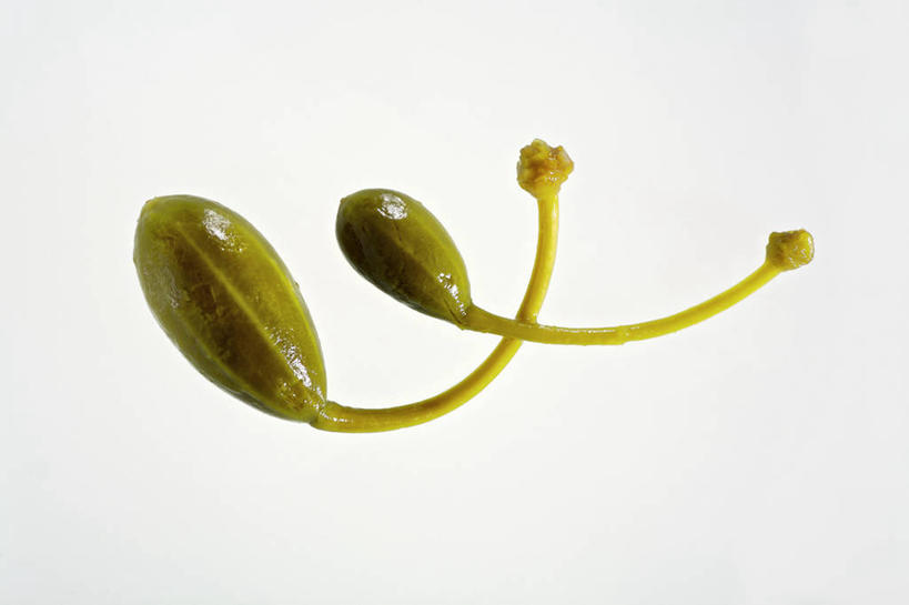 无人,横图,俯视,室内,特写,白天,白色背景,植物,餐桌,桌子,水果,阴影,反射,影子,草药,中药,两个,摄影,影棚,餐台,药材,中草药,马槟榔,中药材,本草,马金囊,水槟榔,紫槟榔,马金南,山槟榔,太极子,屈头鸡,彩图,高角度拍摄,影棚拍摄,拍摄