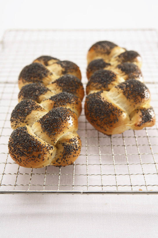 点心,面包,无人,竖图,俯视,室内,特写,白天,白色背景,烘焙,餐桌,桌子,金属制品,阴影,反射,金属,影子,食品,面点,架子,食物,糕点,两个,摄影,影棚,餐台,罂粟籽,冷却,冷却架,辫子面包,罂子粟,阿芙蓉,彩图,高角度拍摄,影棚拍摄,拍摄,米囊,御米