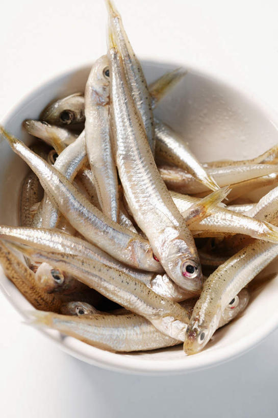 无人,竖图,俯视,室内,特写,白天,白色背景,餐桌,桌子,一堆,许多,阴影,堆叠,堆积,反射,鱼,影子,陶瓷,陶瓷制品,鱼类,一个,白色,容器,碗,摄影,影棚,单个,餐台,储藏,堆,储存,凤尾鱼,凤鲚,鲚鱼,半身,彩图,高角度拍摄,影棚拍摄,拍摄,贮存