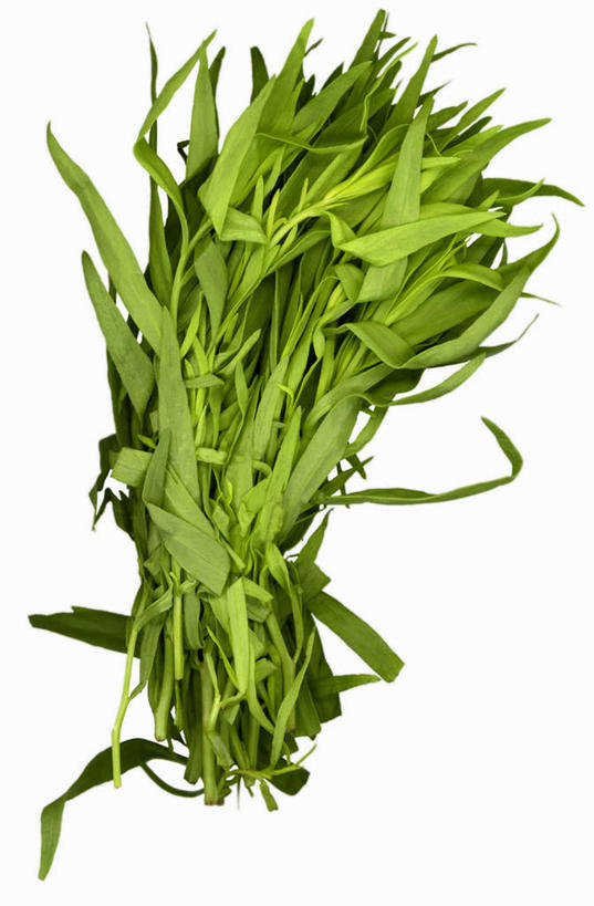 无人,竖图,俯视,室内,特写,白天,白色背景,植物,餐桌,桌子,蔬菜,许多,阴影,新鲜,反射,影子,食品,草药,药草,中药,食物,绿色,摄影,有机食品,绿色食品,影棚,餐台,药材,中草药,龙蒿,中药材,本草,椒蒿,青蒿,蛇蒿,彩图,高角度拍摄,影棚拍摄,拍摄