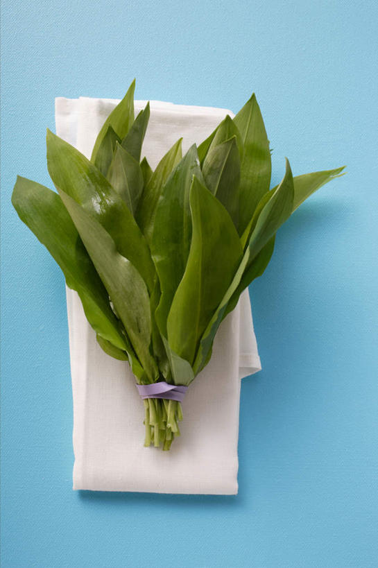 无人,竖图,俯视,室内,特写,白天,桌面,桌子,蔬菜,纺织品,阴影,蓝色背景,新鲜,反射,木制,布,影子,食品,织物,食物,绿色,木制品,摄影,有机食品,绿色食品,影棚,布匹,熊葱,卡其布,林地蒜,野蒜菜,彩图,高角度拍摄,影棚拍摄,拍摄