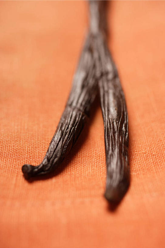 无人,竖图,俯视,室内,特写,白天,植物,餐桌,桌子,阴影,朦胧,模糊,反射,影子,草药,药草,中药,两个,黑色,清热,摄影,影棚,餐台,药材,中草药,香草兰,中药材,本草,解毒,婆绒花,山薄荷,石母草,彩图,高角度拍摄,影棚拍摄,拍摄