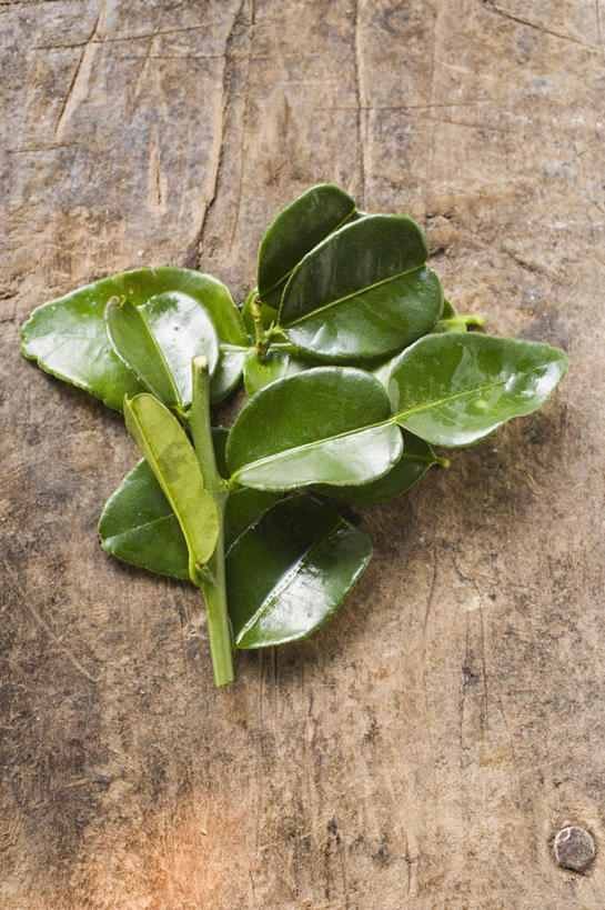 无人,竖图,俯视,室内,特写,白天,餐桌,桌子,叶子,一堆,许多,阴影,堆叠,堆积,反射,影子,绿叶,很多,绿色,嫩叶,摄影,影棚,餐台,堆,柠檬叶,叶,叶片,彩图,高角度拍摄,影棚拍摄,拍摄