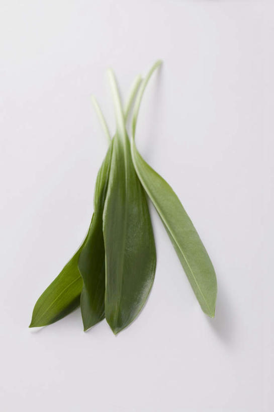 无人,竖图,俯视,室内,特写,白天,白色背景,餐桌,桌子,蔬菜,叶子,一堆,阴影,堆叠,堆积,新鲜,反射,影子,食品,绿叶,食物,嫩叶,摄影,有机食品,绿色食品,影棚,餐台,堆,熊葱,林地蒜,野蒜菜,叶,叶片,彩图,高角度拍摄,影棚拍摄,拍摄