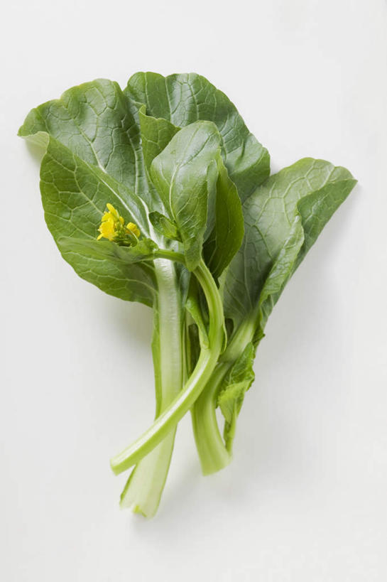无人,竖图,俯视,室内,特写,白天,白色背景,餐桌,桌子,蔬菜,椰菜,卷心菜,叶子,阴影,新鲜,反射,影子,食品,绿叶,菜心,食物,嫩叶,甘蓝,摄影,有机食品,绿色食品,影棚,餐台,叶,叶片,结球甘蓝,甘兰,包心菜,彩图,高角度拍摄,影棚拍摄,拍摄