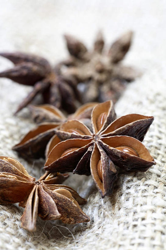 无人,竖图,俯视,室内,特写,白天,白色背景,植物,餐桌,桌子,五个,许多,阴影,朦胧,模糊,反射,影子,调味,香料,佐料,草药,药草,中药,摄影,影棚,餐台,配料,药材,中草药,茴芹,中药材,本草,作料,鹅脚板,异叶茴芹,彩图,高角度拍摄,影棚拍摄,拍摄