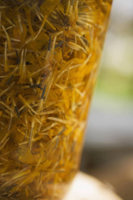 无人,竖图,俯视,室内,特写,白天,餐桌,桌子,玻璃,许多,阴影,朦胧,模糊,盛开,反射,影子,万寿菊,很多,花蕾,玻璃制品,花,花瓣,花朵,鲜花,一个,黄色,玻璃瓶,瓶子,花苞,花蕊,健康,单个,餐台,广口瓶,长寿,臭芙蓉,蜂窝菊,友情,彩图,高角度拍摄