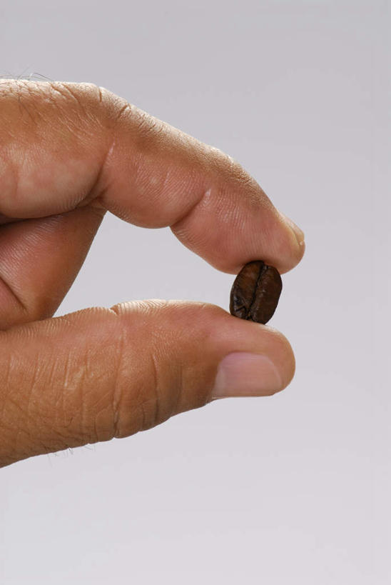 咖啡,西方人,手,一个人,捏,竖图,室内,特写,白天,正面,植物,豆,欧洲,欧洲人,仅一个男性,仅一个人,灰色背景,豆类,豆子,捏着,仅一个年轻男性,一个,咖啡豆,手部,摄影,影棚,单个,单手,豆科,咖啡因,男人,男性,年轻男性,白种人,半身,彩图,影棚拍摄,拍摄