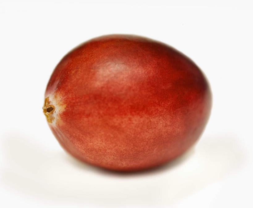 无人,横图,俯视,室内,特写,白天,白色背景,餐桌,桌子,水果,阴影,新鲜,反射,影子,生食,食品,果实,食物,一个,红色,摄影,有机食品,绿色食品,影棚,单个,餐台,蔓越莓,小红莓,彩图,高角度拍摄,影棚拍摄,拍摄