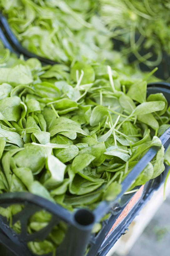 无人,竖图,俯视,室内,特写,白天,玉米,蔬菜,叶子,一堆,许多,阴影,堆叠,堆积,朦胧,模糊,新鲜,反射,棒子,影子,塑料,生菜,莴苣,玉蜀黍,食品,绿叶,盒子,食物,一个,容器,塑料制品,嫩叶,摄影,有机食品,绿色食品,影棚,单个,储藏,堆,苞米,储存,苞芦,苞谷,春菜,鹅仔菜,莴仔菜,千金菜,包谷,大蜀黍,番麦,薏米包,玉高粱,玉麦,珍珠米,叶用莴苣,叶,叶片,彩图,高角度拍摄,影棚拍摄,拍摄,贮存