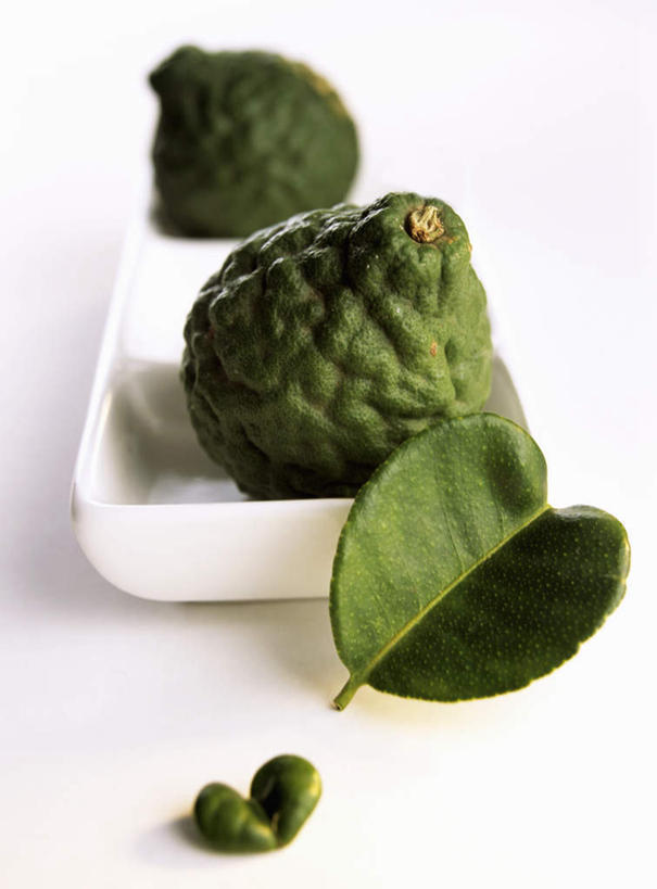 无人,竖图,俯视,室内,特写,白天,白色背景,餐具,叶子,阴影,朦胧,模糊,反射,碟子,盘,影子,青柠檬,绿叶,绿色,盘子,碟,嫩叶,摄影,影棚,叶,叶片,益母果,柠果,彩图,高角度拍摄,影棚拍摄,拍摄