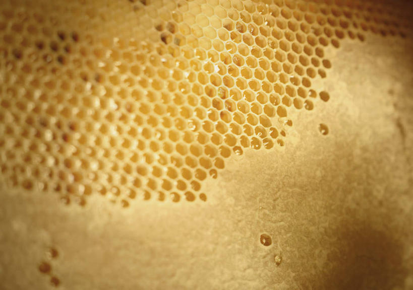 蜂蜜,无人,横图,室内,特写,白天,正面,蜜蜂,朦胧,模糊,纹路,蜂巢,蜂窝,六角形,纹理,花蜜,肌理,止痛,解毒,冬酿,石蜜,彩图