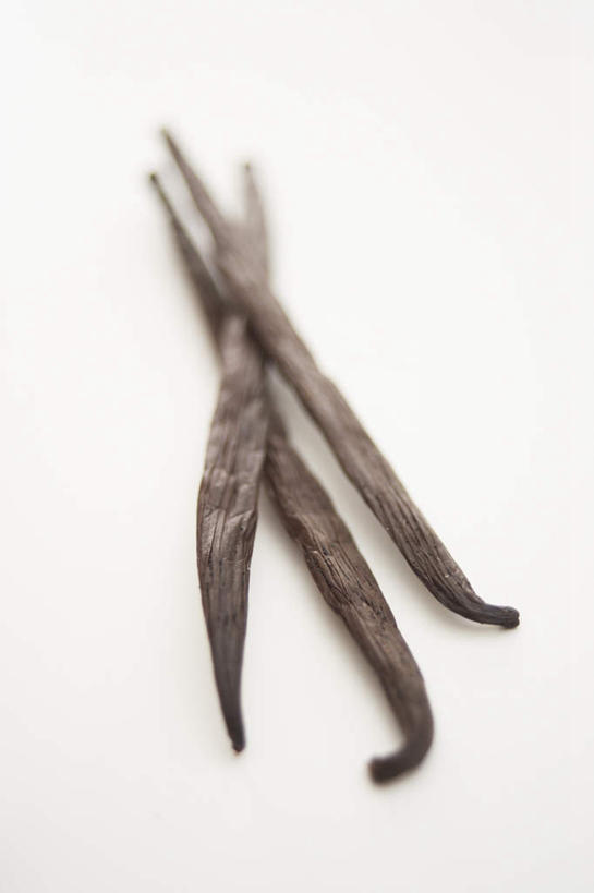 无人,竖图,俯视,室内,特写,白天,白色背景,植物,阴影,朦胧,模糊,反射,影子,草药,药草,中药,三个,清热,摄影,影棚,药材,中草药,香草兰,中药材,本草,解毒,婆绒花,山薄荷,石母草,彩图,高角度拍摄,影棚拍摄,拍摄