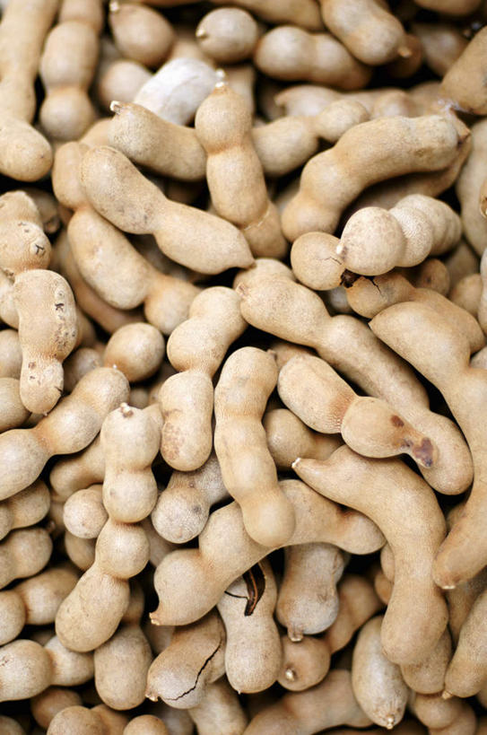 无人,竖图,俯视,室内,特写,白天,水果,一堆,许多,阴影,堆叠,堆积,朦胧,模糊,反射,影子,调味,香料,佐料,果实,草药,堆,配料,草本,罗望子,作料,酸豆,酸角,彩图,高角度拍摄