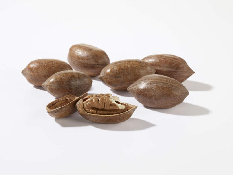 无人,横图,俯视,室内,特写,白天,白色背景,桌面,桌子,阴影,反射,木制,影子,核桃,坚果,棕色,果实,木制品,干果,摄影,影棚,小核桃,山核桃,胡桃,羌桃,彩图,高角度拍摄,影棚拍摄,拍摄