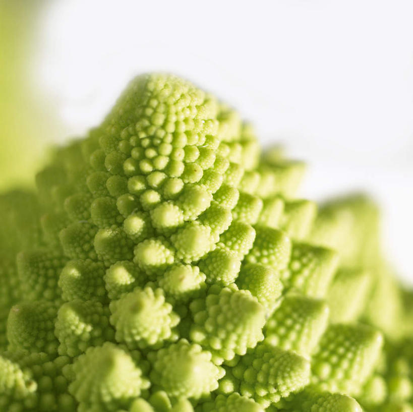无人,横图,俯视,室内,特写,白天,餐桌,桌子,蔬菜,阴影,朦胧,模糊,新鲜,反射,影子,花菜,花椰菜,西兰花,食品,食物,一个,绿色,有机食品,绿色食品,单个,餐台,椰菜花,罗马花椰菜,青宝塔,甘蓝花,彩图,高角度拍摄