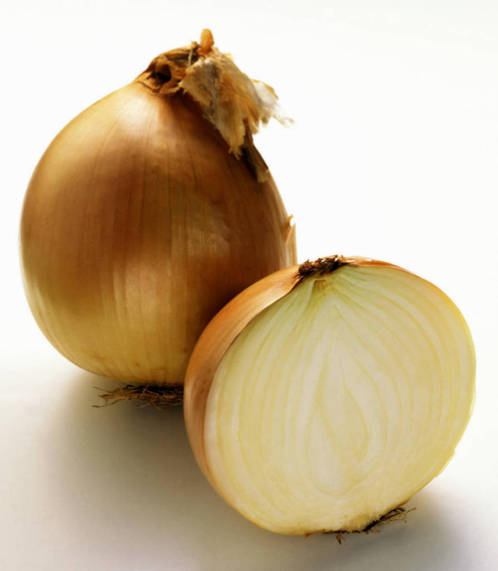 无人,竖图,俯视,室内,特写,白天,白色背景,餐桌,桌子,蔬菜,洋葱,阴影,新鲜,反射,影子,食品,食物,两个,摄影,有机食品,绿色食品,影棚,餐台,玉葱,横截面,剖面,截面,截面图形,荷兰葱,圆葱,洋葱头,球葱,葱头,彩图,高角度拍摄,影棚拍摄,拍摄,黄洋葱