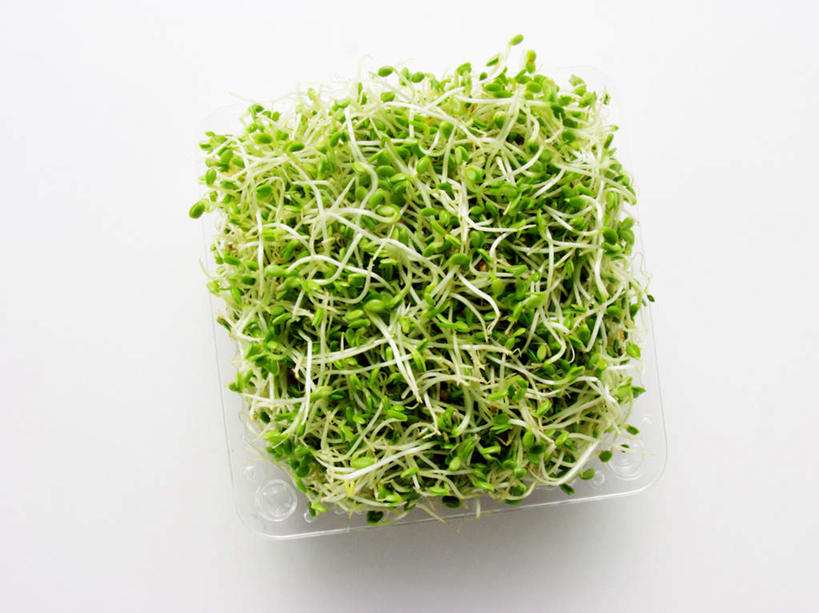 无人,横图,俯视,室内,特写,白天,白色背景,餐桌,桌子,蔬菜,餐具,一堆,许多,阴影,堆叠,堆积,新鲜,反射,碟子,盘,影子,食品,食物,一个,盘子,碟,摄影,有机食品,绿色食品,影棚,单个,餐台,堆,紫花苜蓿,苜蓿,牧草,紫苜蓿,彩图,高角度拍摄,影棚拍摄,拍摄