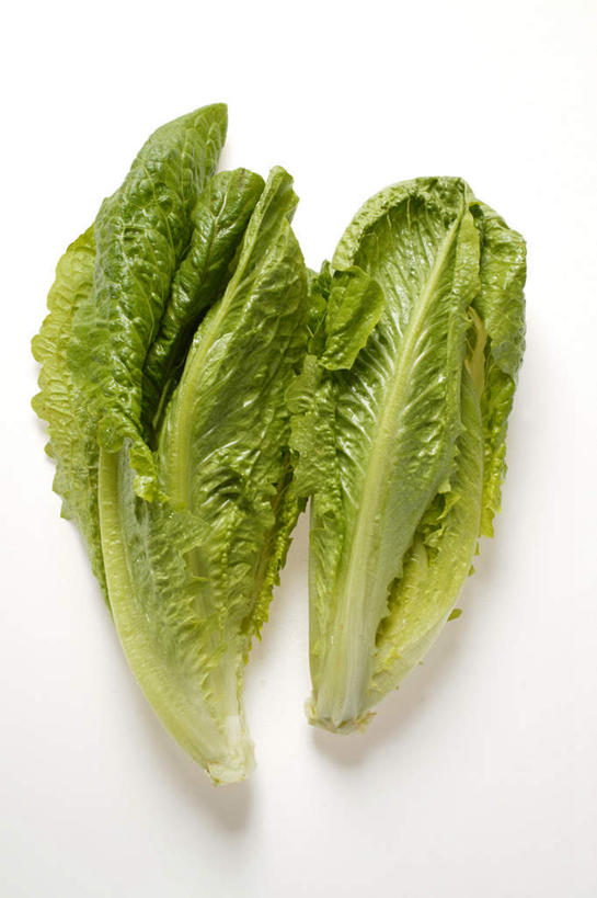 无人,竖图,俯视,室内,特写,白天,白色背景,餐桌,桌面,桌子,蔬菜,叶子,两棵,阴影,新鲜,反射,影子,生菜,莴苣,食品,绿叶,食物,两个,嫩叶,摄影,有机食品,绿色食品,影棚,餐台,春菜,鹅仔菜,莴仔菜,千金菜,叶用莴苣,叶,叶片,彩图,高角度拍摄,影棚拍摄,拍摄