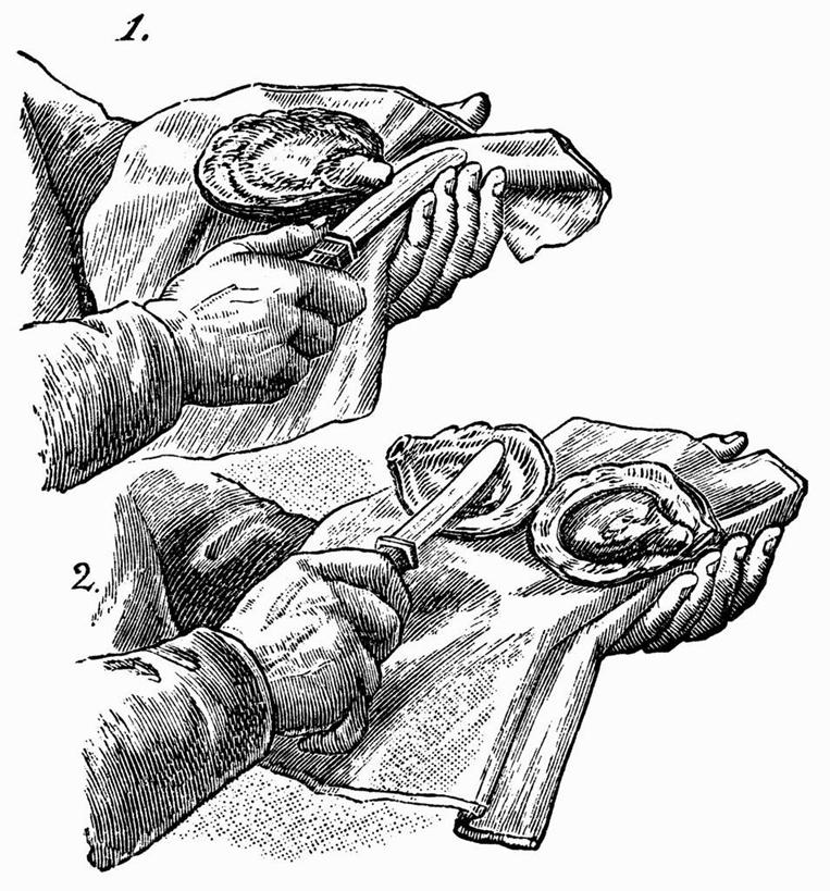 海鲜,西方人,无人,两个人,站,竖图,黑白,插画,室内,特写,白天,白色背景,正面,抽象,数码,科技,餐具,欧洲,欧洲人,握,阴影,网络,工具,刀具,牡蛎,高光,几何,计算机图形,拿,合成,图画,拿着,水产,海洋生物,手绘,画,餐巾,刀,站着,剥开,握着,创意,生蚝,虚幻,电脑合成图,数码合成图,合成图,水生动物,餐刀,海产品,水生物,漫画,素描,处理,海底动物,写实,具体,具象,男人,男性,年轻男性,白种人,站立,半身
